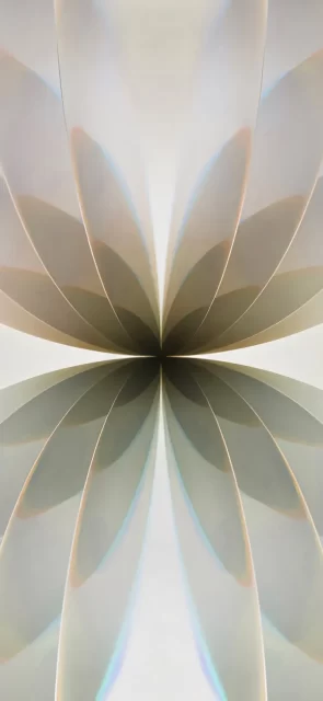 iPhone 17原生壁纸下载：4K高清抽象花卉光晕锁屏背景