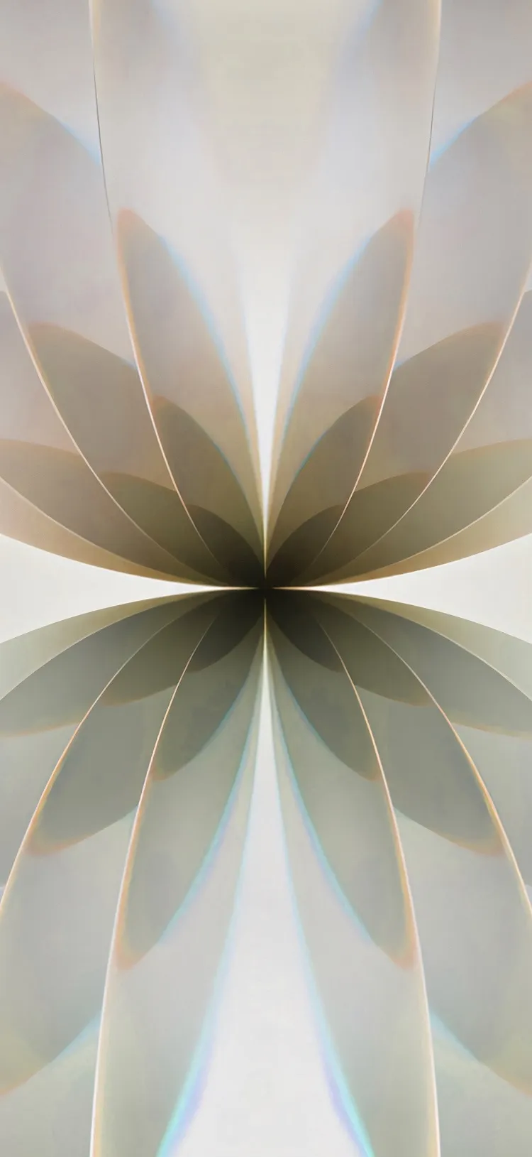 iPhone 17原生壁纸下载：4K高清抽象花卉光晕锁屏背景