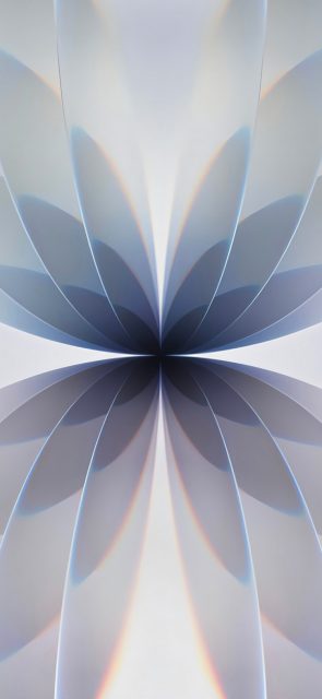 2026新款iPhone壁纸：极简对称花卉4K高清图