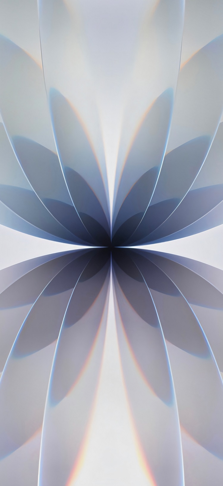 2026新款iPhone壁纸：极简对称花卉4K高清图